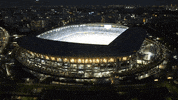 South Africa Sport GIF by Rugby World Cup