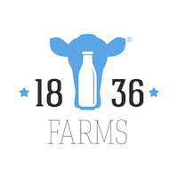 1836-Farms milk cow farm 1836farms Sticker