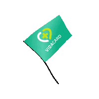 Franchising Sticker by Vida Card