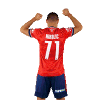 molfehervarfcgif nikolic vidi szekesfehervar fehervar Sticker