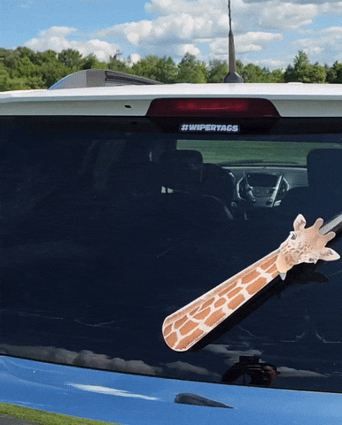 Giraffe Giraffewiper GIF by WiperTags Wiper Covers