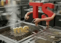 Ts Fry GIF