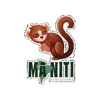Amazon Peru Sticker by ManitiExpeditions
