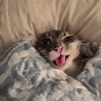 Sleepy Bedtime GIF