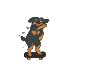 Rottweiler Hakdesign Sticker by Lifeboy Skateshop Rottweil