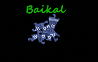 Mona_Wood lake baikal байкал monawood GIF