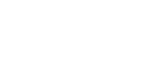 Today Sticker by NYU University Life