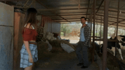 Startv GIF by Ay Yapım