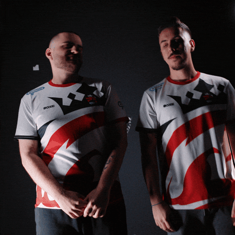 League Yes GIF by Austrian Force eSports