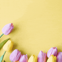 Gdp Frauentag GIF by GdP-Bezirk Bundespolizei |  Zoll