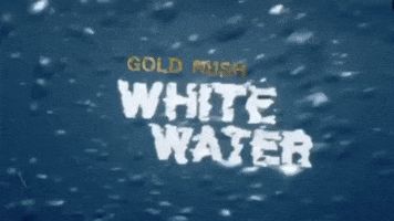 gold rush GIF by Discovery Europe