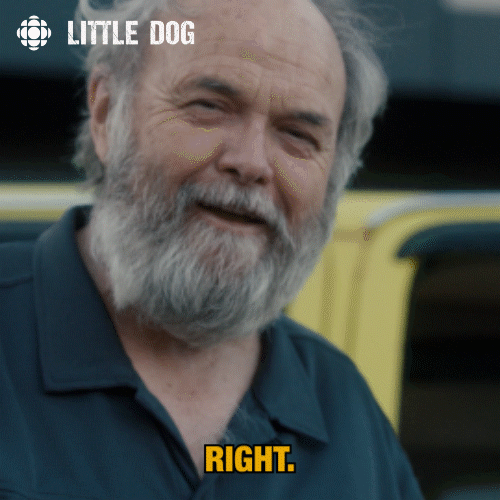 TV gif. Andy Jones as Loyola in Little Dog. He looks at us and smiles in acknowledgement before pointing and saying, "Right!" with pride.
