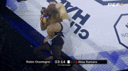 Mma Robin GIF by Old School Academy