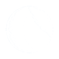 Brand Dogfood Sticker by MUSHbarf