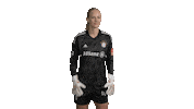 Champions League Bundesliga Sticker by FC Bayern Women
