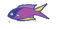Tropical Fish Sticker by Binary Style