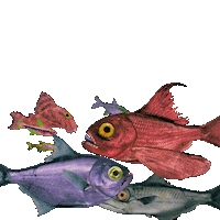 weird halloween Sticker by Colin Raff