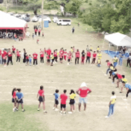 yj_jane giphyupload GIF