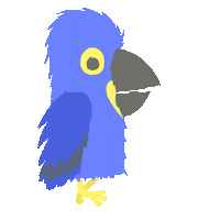 clevendeavgames run parrot macaw uch Sticker