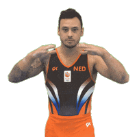 Searching Bart Deurloo Sticker by DutchGymnasticsKNGU