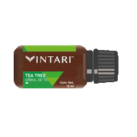 VintariOficial orange natural meditation balance Sticker