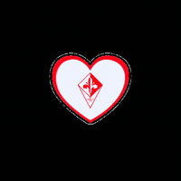 Cuorefirenze GIF by FirenzeC5