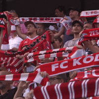 1 Fc Cologne Football GIF by 1. FC Köln