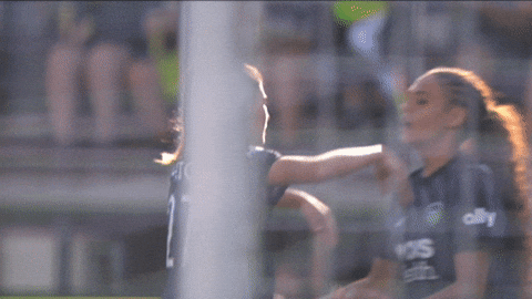 Washingtonspirit Hug GIF by National Women's Soccer League