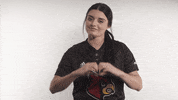 University Of Louisville Softball GIF by Louisville Cardinals