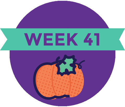 Pregnancy Baby Size Sticker by What to Expect