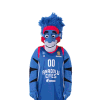 Euroleague Basketball Sticker by Anadolu Efes SK