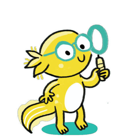 Kids Wow Sticker