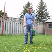 GIF by Brittlestar
