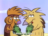 nickrewind nicksplat angry beavers GIF