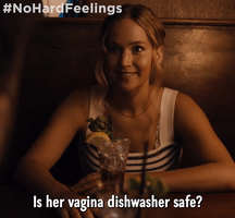 Is Her Vagina Dishwasher Safe?