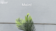 Lurk Rote Rosen GIF by Studio Hamburg Serienwerft GmbH