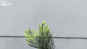 Hallo Rote Rosen GIF by Studio Hamburg Serienwerft GmbH