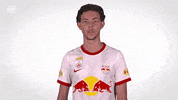 Red Bull Sport GIF by FC Red Bull Salzburg