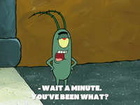 season 7 GIF by SpongeBob SquarePants