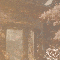 Miss India GIF
