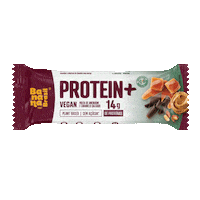 bananabrasil vegan protein bnb equilibrio Sticker