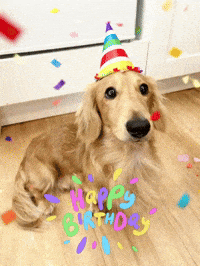 Happy Birthday Dog GIF