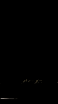 nhvracov nhvracov GIF