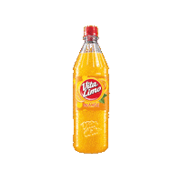 Orange Coke Sticker by Vita Cola