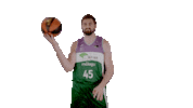 Liga Endesa Basketball Sticker by ACB