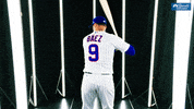 Chicago Cubs Baseball GIF by NBC Sports Chicago