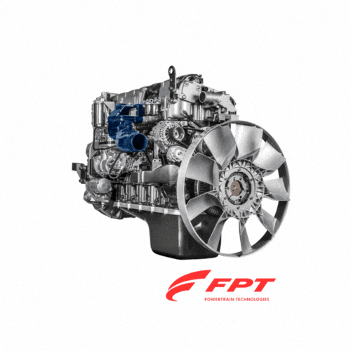 GIF by Máquinas Bamaq