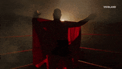 professional wrestling GIF by DARK SIDE OF THE RING