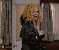 confused schitts creek GIF by CBC
