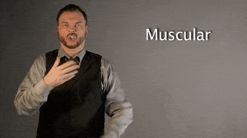 sign language asl GIF by Sign with Robert
